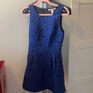 Royal blue cheetah print dress worn ONCE